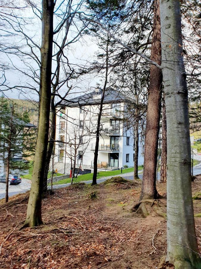 Apartament Wlochatka Z Sauna Finska Świeradów-Zdrój Dış mekan fotoğraf