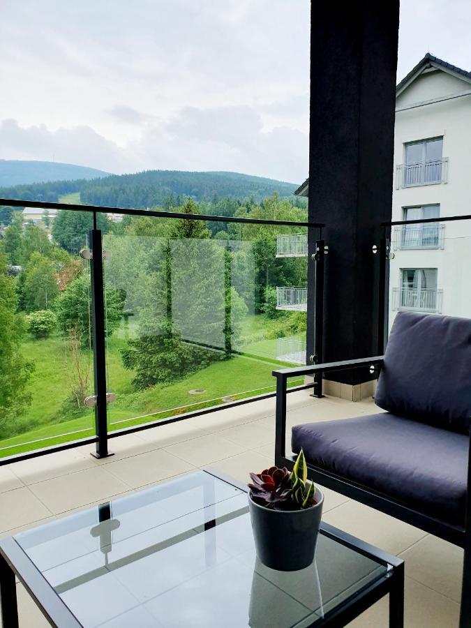 Apartament Wlochatka Z Sauna Finska Świeradów-Zdrój Dış mekan fotoğraf